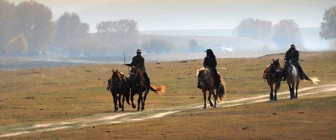 苦逼的seo之路，你來過又走了